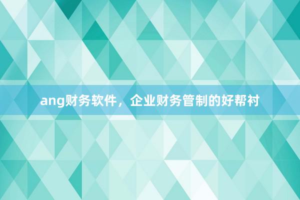 ang财务软件，企业财务管制的好帮衬